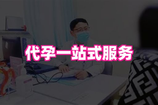 123试管孕网 1