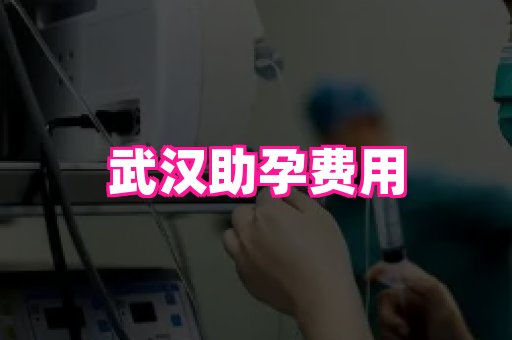 123试管孕网 3