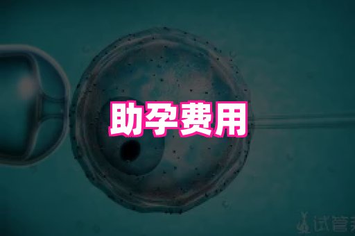 123试管孕网 4